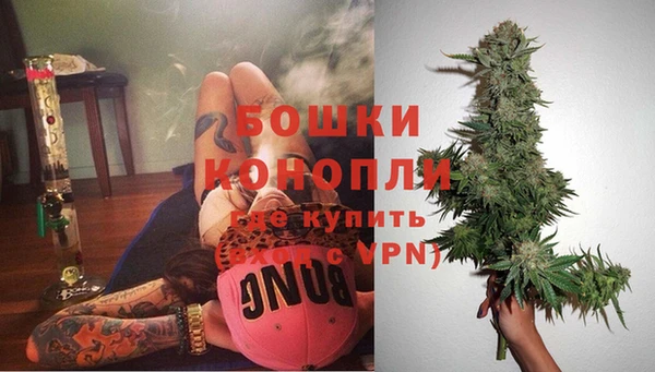 ГАЛЛЮЦИНОГЕННЫЕ ГРИБЫ Дмитровск