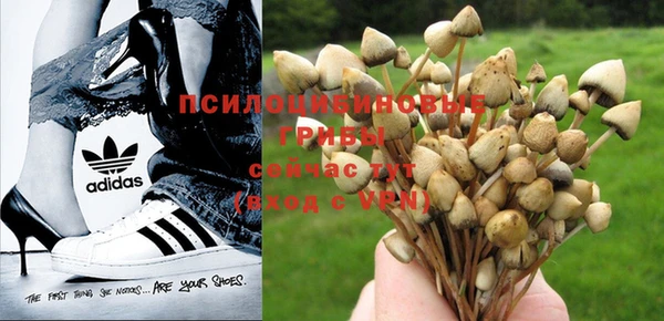 прущие крисы Абинск
